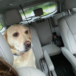 Meet your Posher, Caitlyn